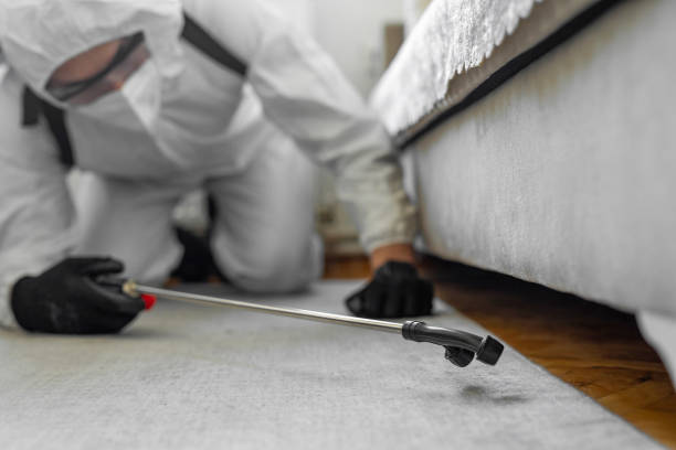 Professional Bed Bug Control technician working in Madison County County, NC